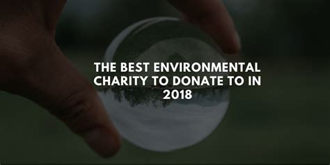 best environmental charities to donate to|Donate and Become a Member .